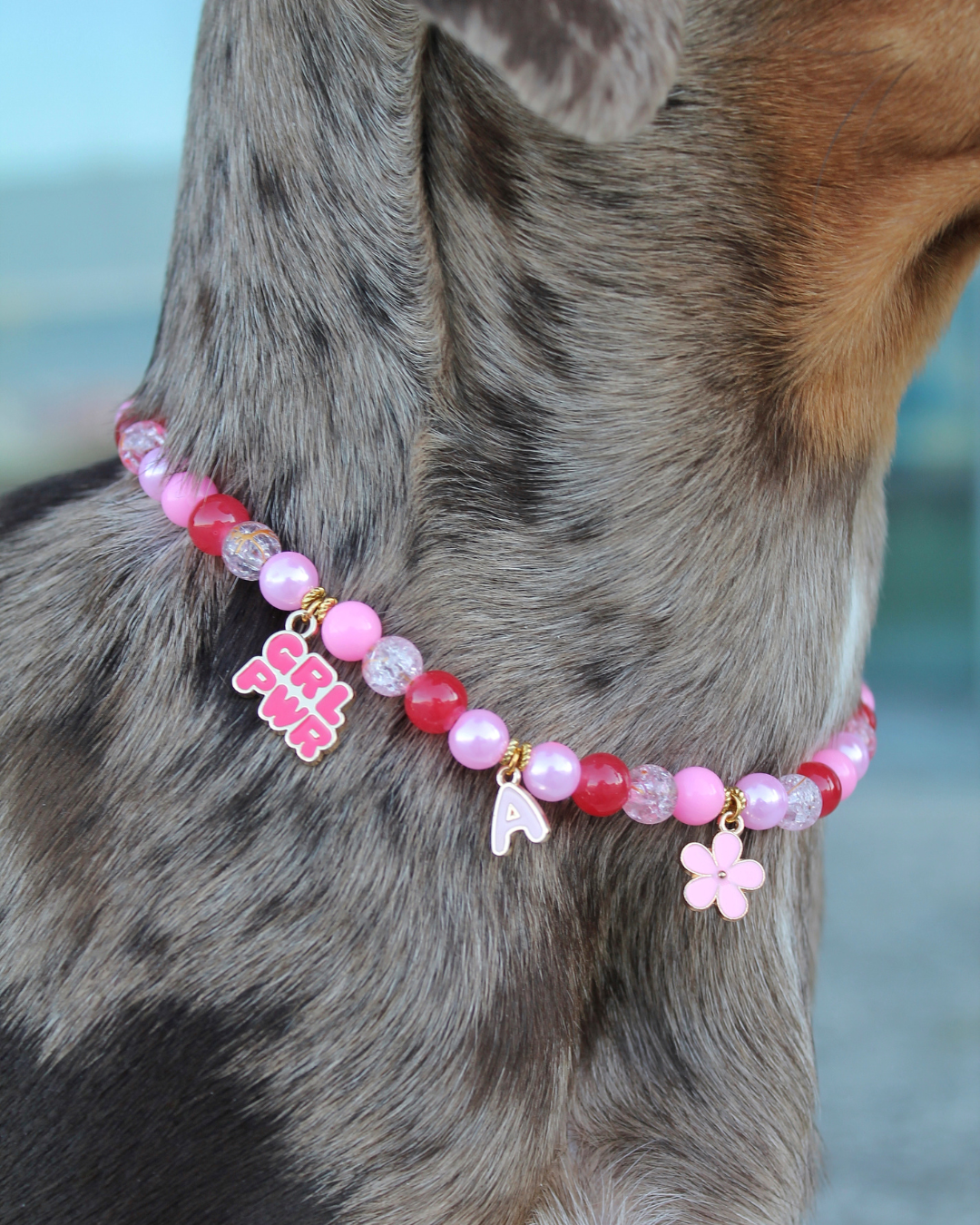 Collier artisanal rose pour chiens et chats avec charms et perles – Zag & Wag