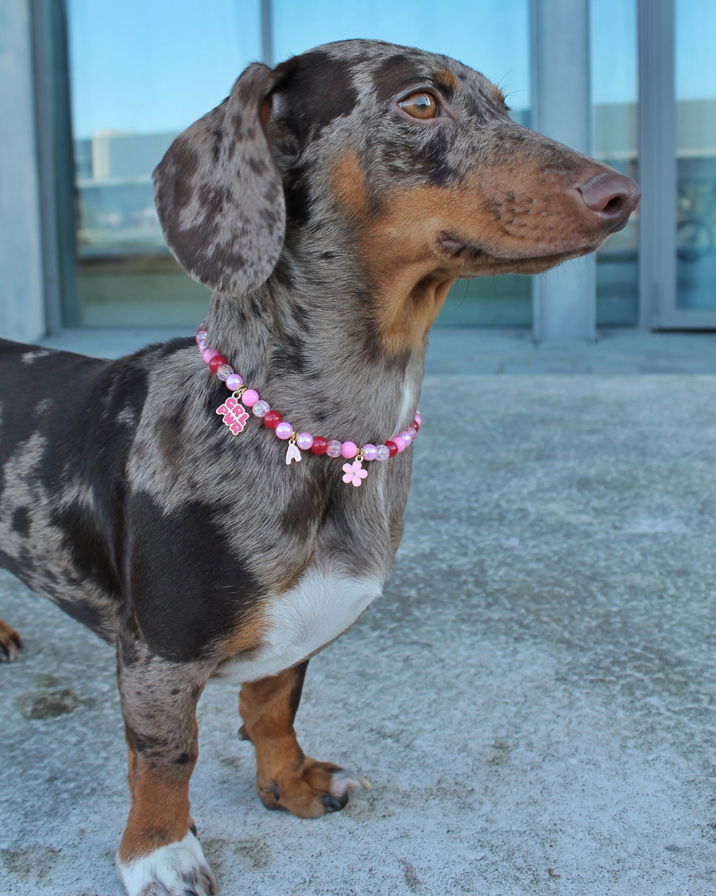 Collier artisanal rose pour chiens et chats avec charms et perles – Zag & Wag
