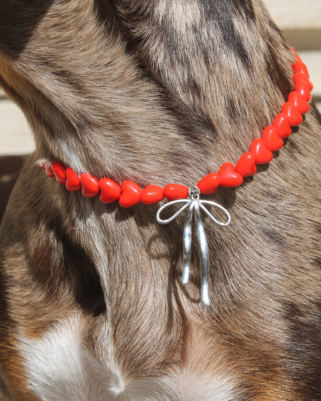Collier pour chien en perles cœurs rouges avec nœud argenté porté autour du cou