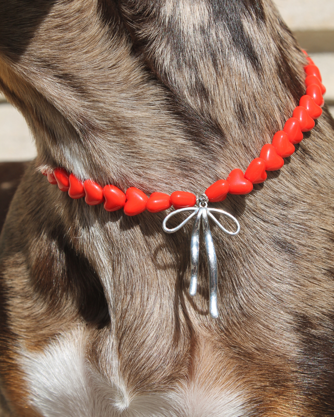 Collier pour chien en perles cœurs rouges avec nœud argenté porté autour du cou