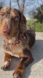 Carte Blanche – Création Sur Mesure